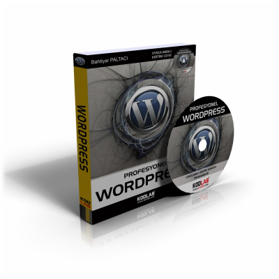 WordPress 2012
